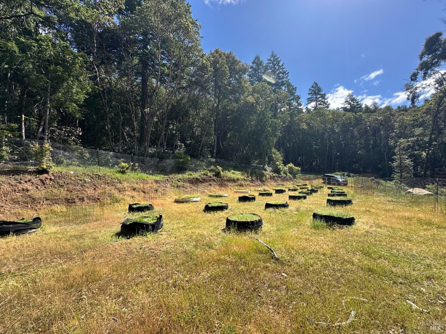 0 Little Dan Creek Road Leggett, CA 95585 - Photo 1 of 13 a view of swimming pool with outdoor seating and trees in the background