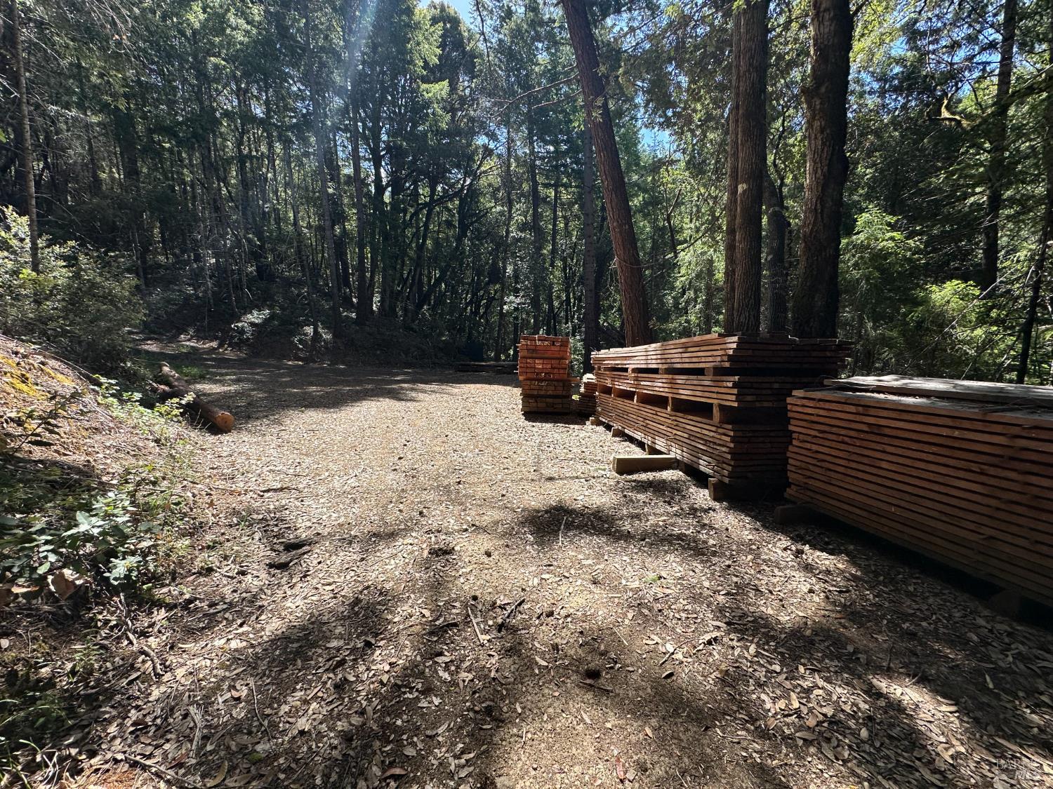 0 Little Dan Creek Road Leggett, CA 95585 - Photo 11 of 13 a view of a yard with a bench