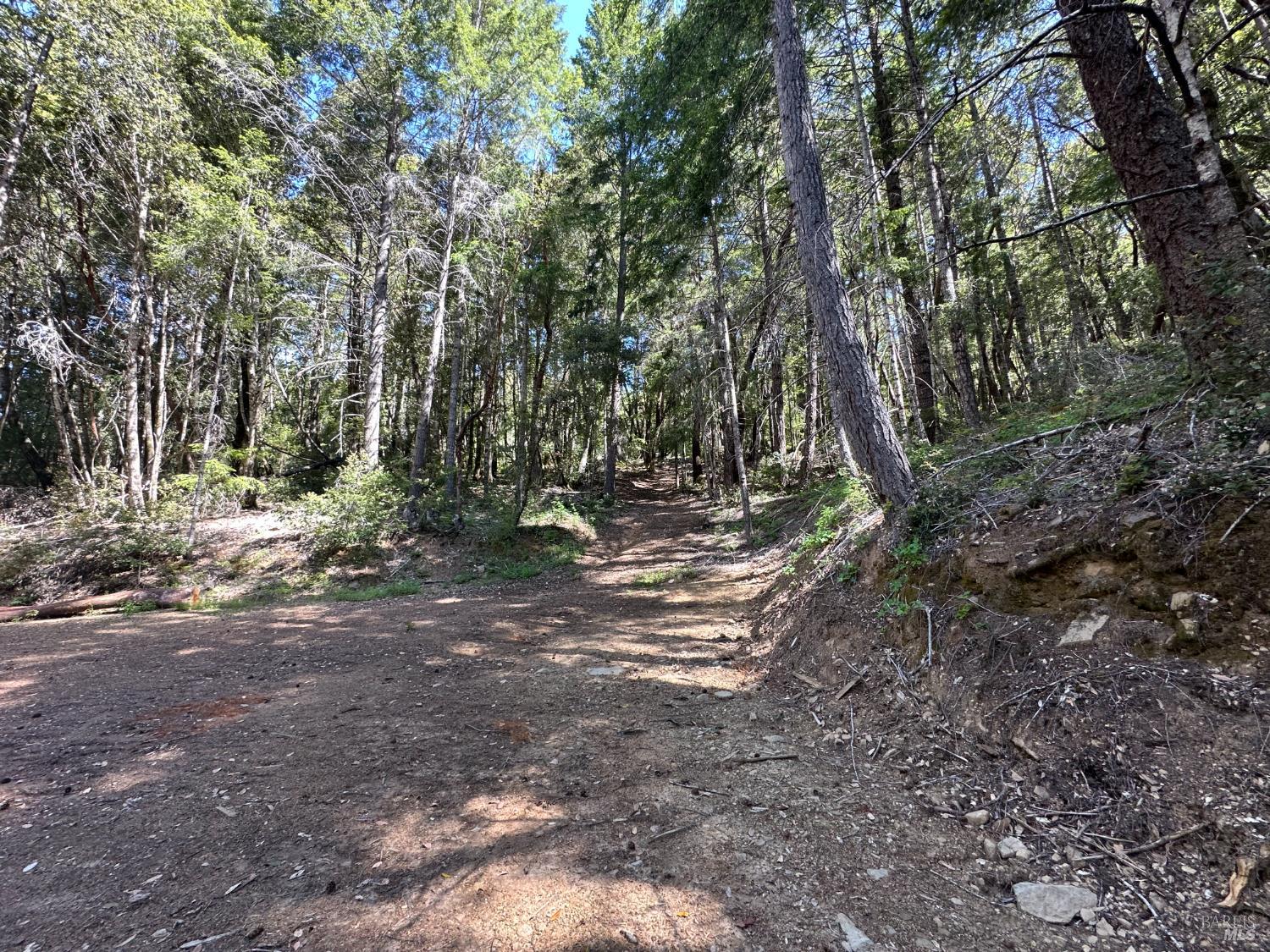 0 Little Dan Creek Road Leggett, CA 95585 - Photo 13 of 13 a view of outdoor space with trees