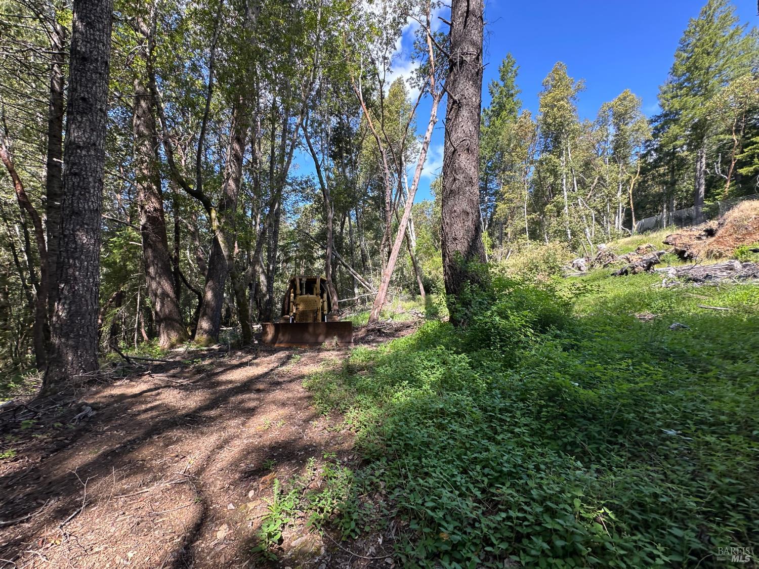 0 Little Dan Creek Road Leggett, CA 95585 - Photo 5 of 13 a view of outdoor space with trees