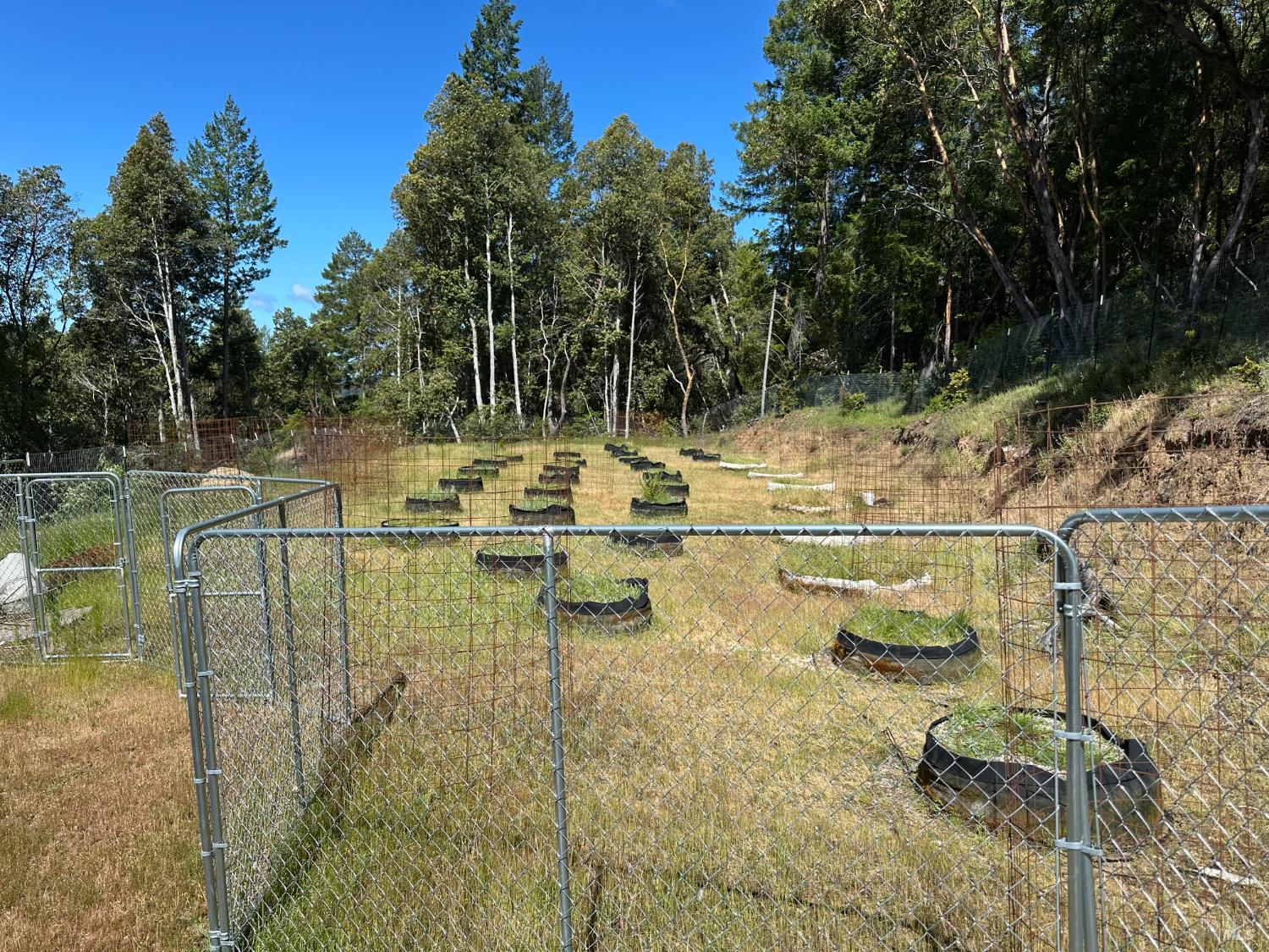 0 Little Dan Creek Road Leggett, CA 95585 - Photo 9 of 13 a view of swimming pool with a yard
