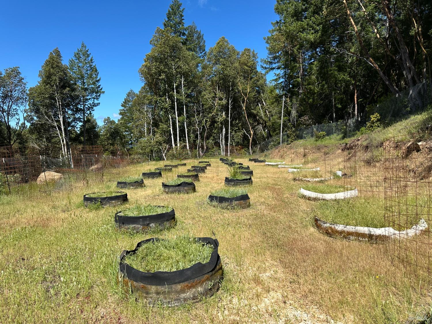 0 Little Dan Creek Road Leggett, CA 95585 - Photo 10 of 13 a view of a swimming pool with a yard