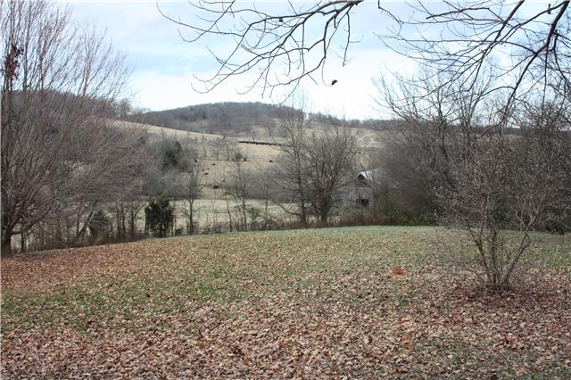 95 Old Rome Pike Lebanon, TN 37087 - Photo 3 of 20 View from back deck