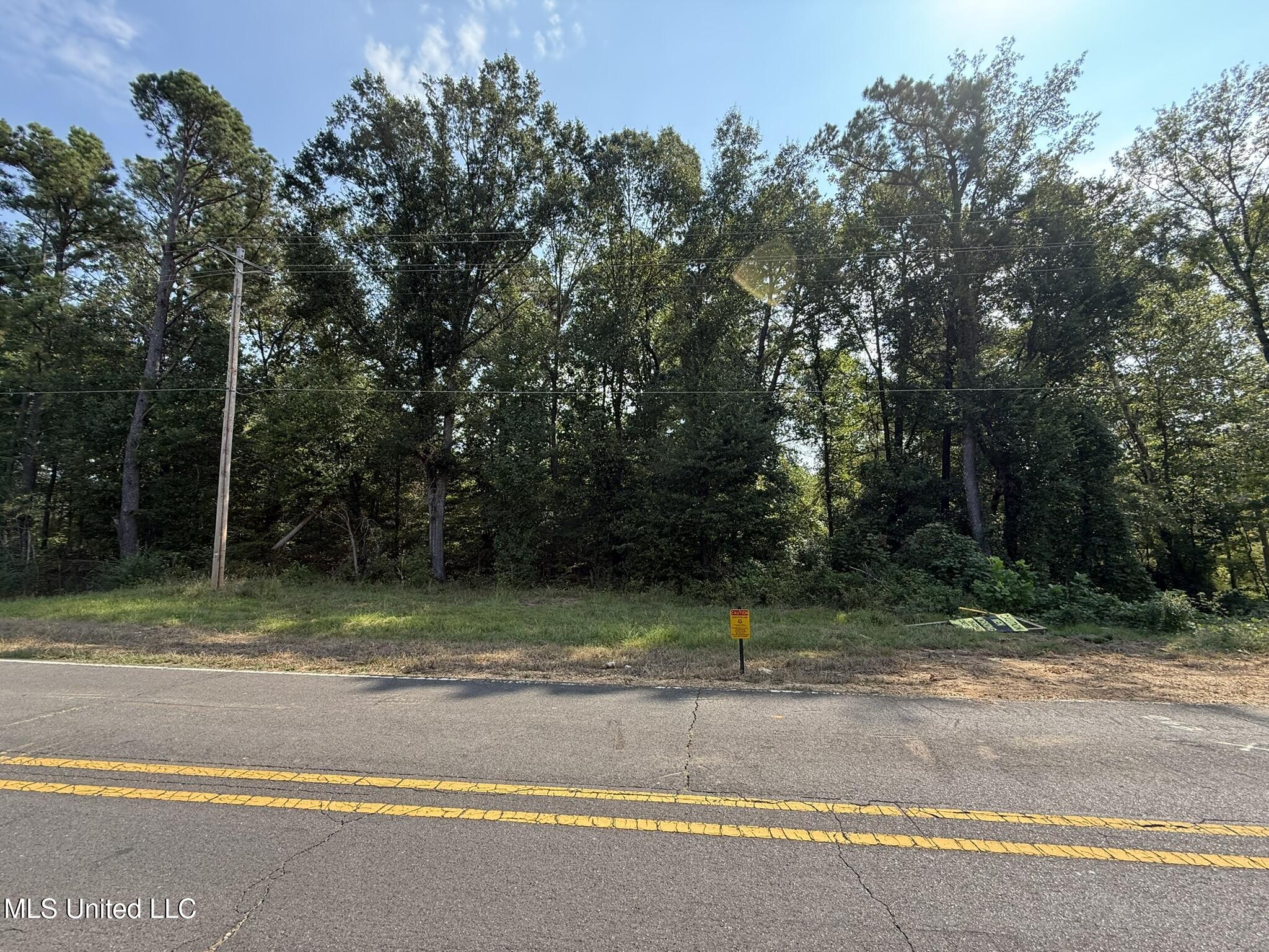 0 Polk Lane Olive Branch, MS 38654 - Photo 2 of 3 IMG_5555