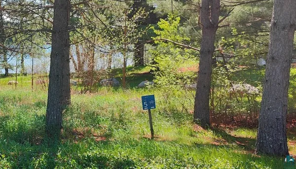 $139,500 | 80075 Waters Of Vermilion Road, Tower, MN 55790