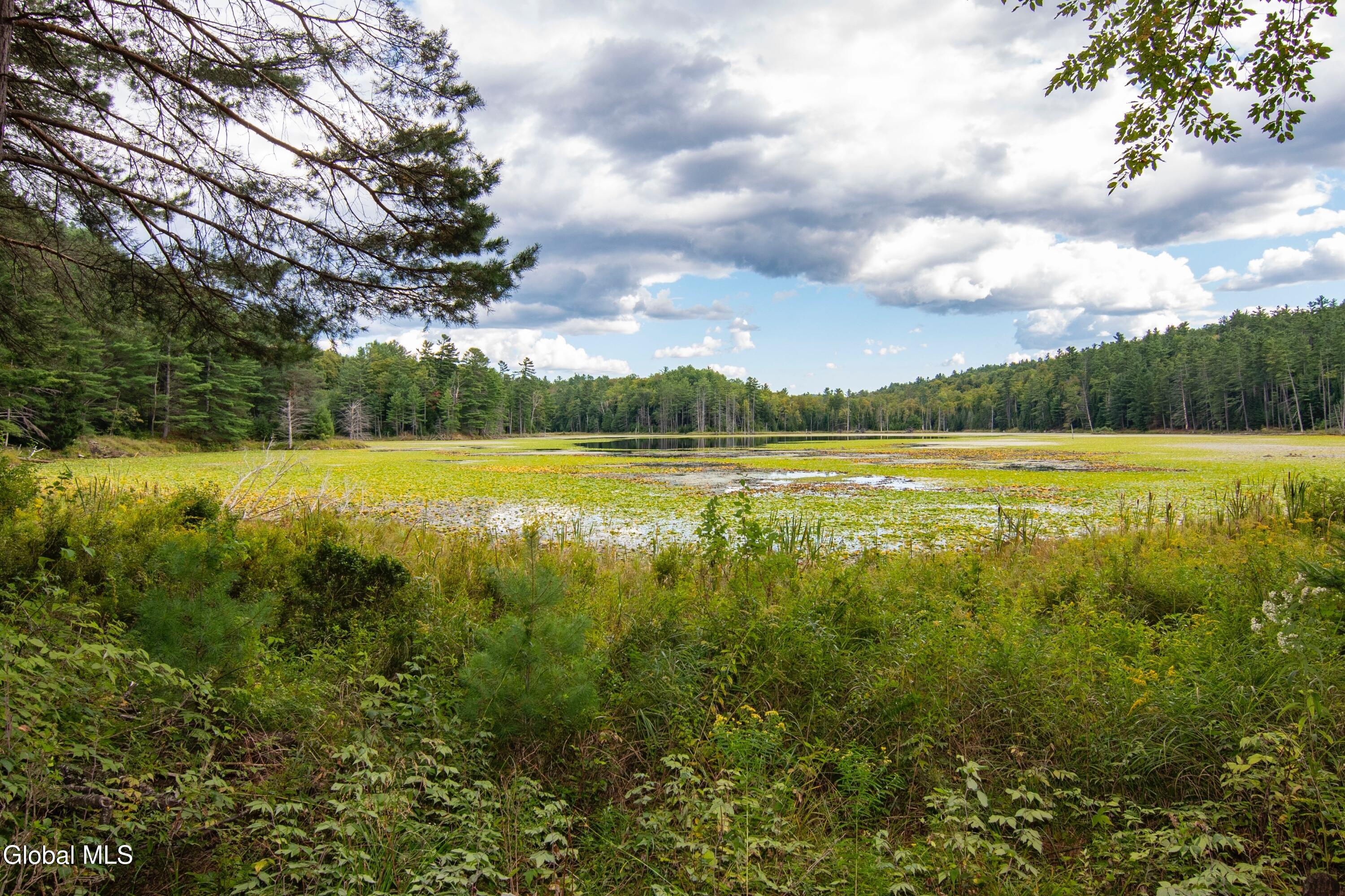 39 Austin Pond Road Johnsburg, NY 12853 - Photo 3 of 54 photo_003