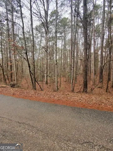 $20,000 | 0 Goldeneye Court, Monticello, GA 31064