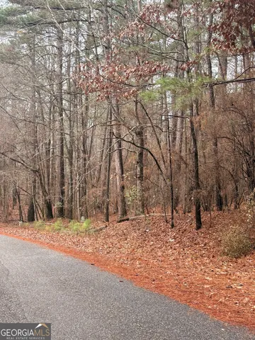 $20,000 | 0 Goldeneye Court, Monticello, GA 31064