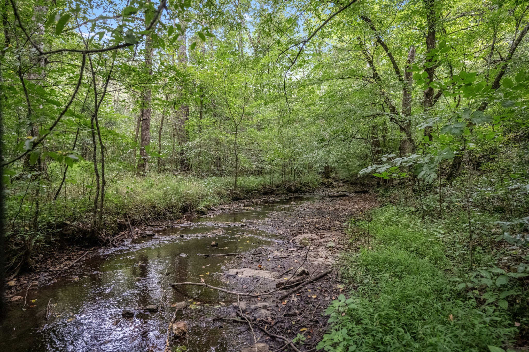 615 Carr Creek Road Normandy, TN 37360 - Photo 48 of 57 Gallery Image 48