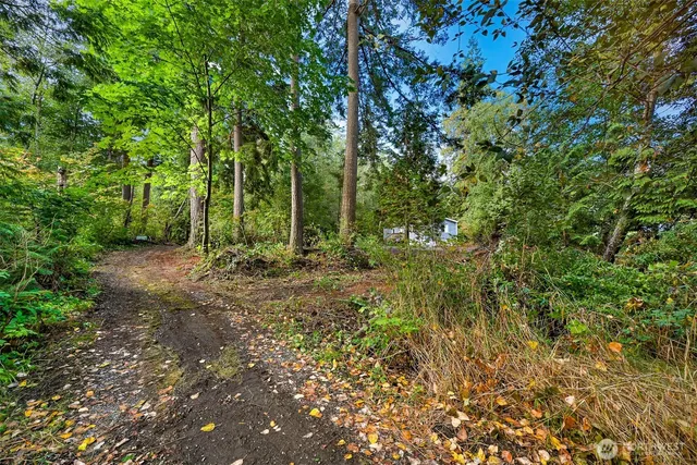 a view of outdoor space and trees