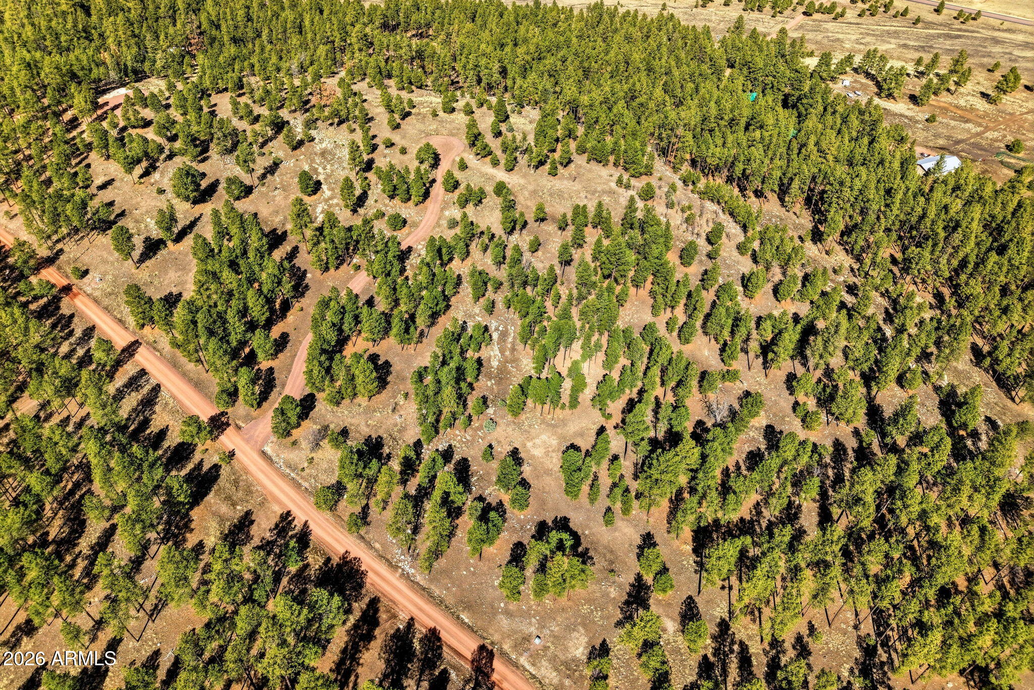 N2147 Tbd, Unit B Alpine, AZ 85920 - Photo 12 of 21