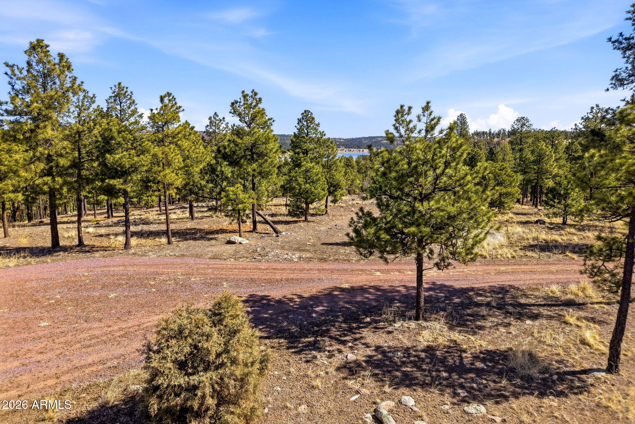 N2147 Tbd, Unit B Alpine, AZ 85920 - Photo 16 of 21 a view of a road with a trees