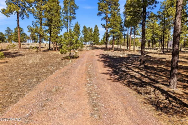 $316,500 | N2147 Tbd, Unit B, Alpine, AZ 85920