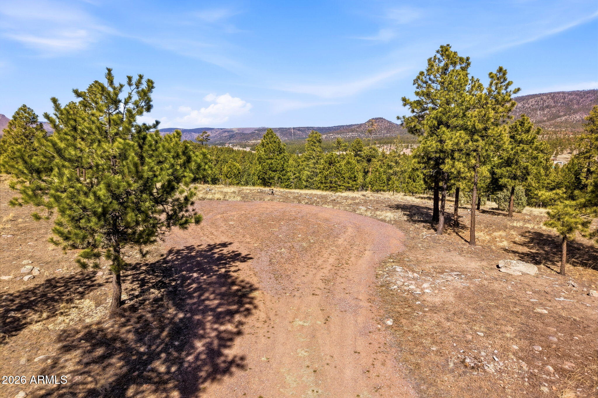 N2147 Tbd, Unit B Alpine, AZ 85920 - Photo 20 of 21 a view of a yard with a tree