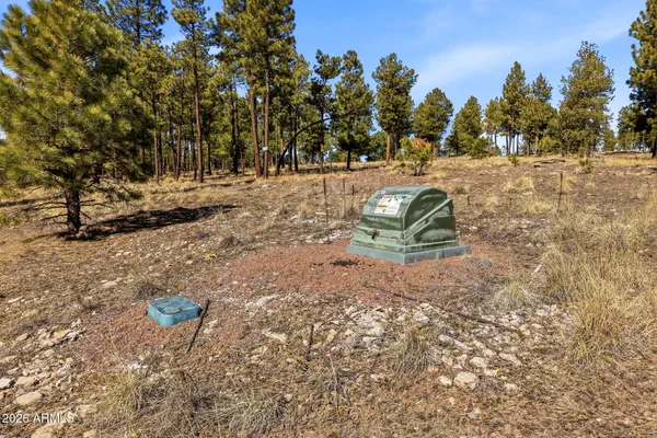 $316,500 | N2147 Tbd, Unit B, Alpine, AZ 85920