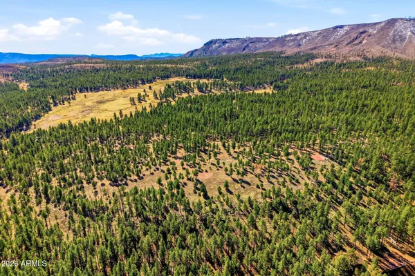 a view of a town with mountains in the background