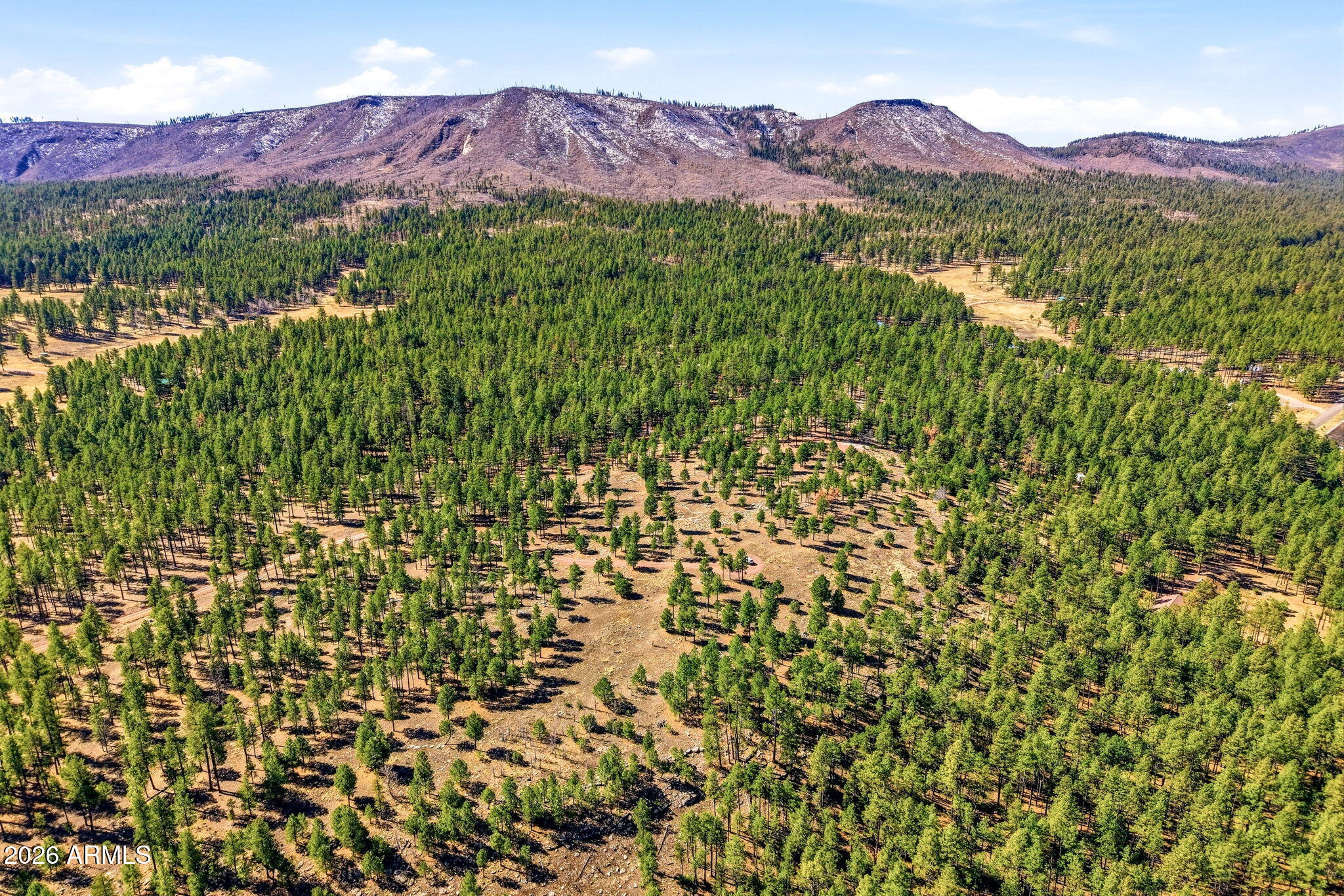 N2147 Tbd, Unit B Alpine, AZ 85920 - Photo 7 of 21 a view of a lush green hillside and a houses