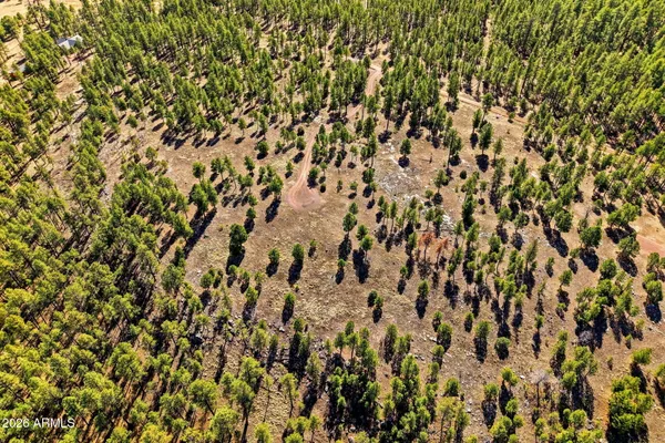 a view of a area with a tree