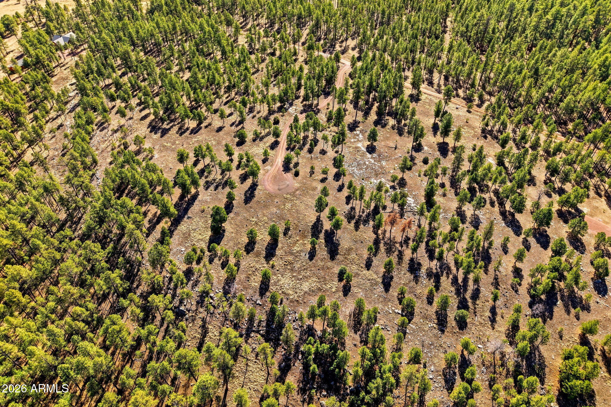 N2147 Tbd, Unit B Alpine, AZ 85920 - Photo 9 of 21 a view of a mirror