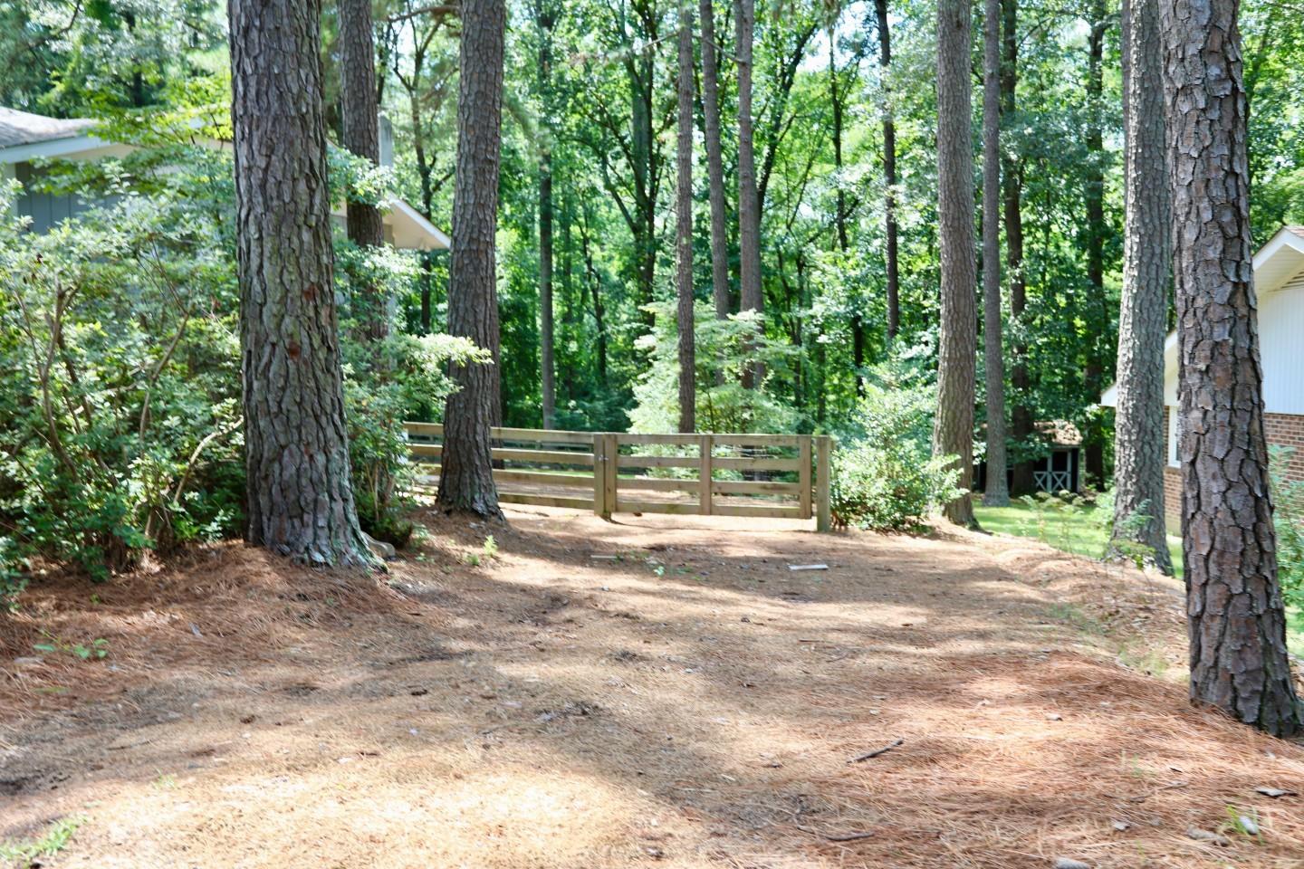 170 Boiling Spring Circle Southern Pines, NC 28387 - Photo 42 of 46 Extra side yard parking