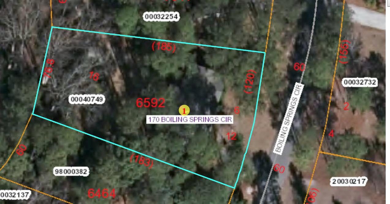 170 Boiling Spring Circle Southern Pines, NC 28387 - Photo 44 of 46 Aerial View