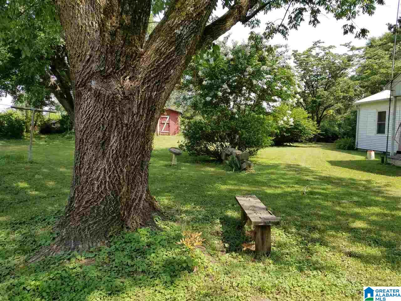 321 County Road 1147 Cullman, AL 35057 - Photo 20 of 32