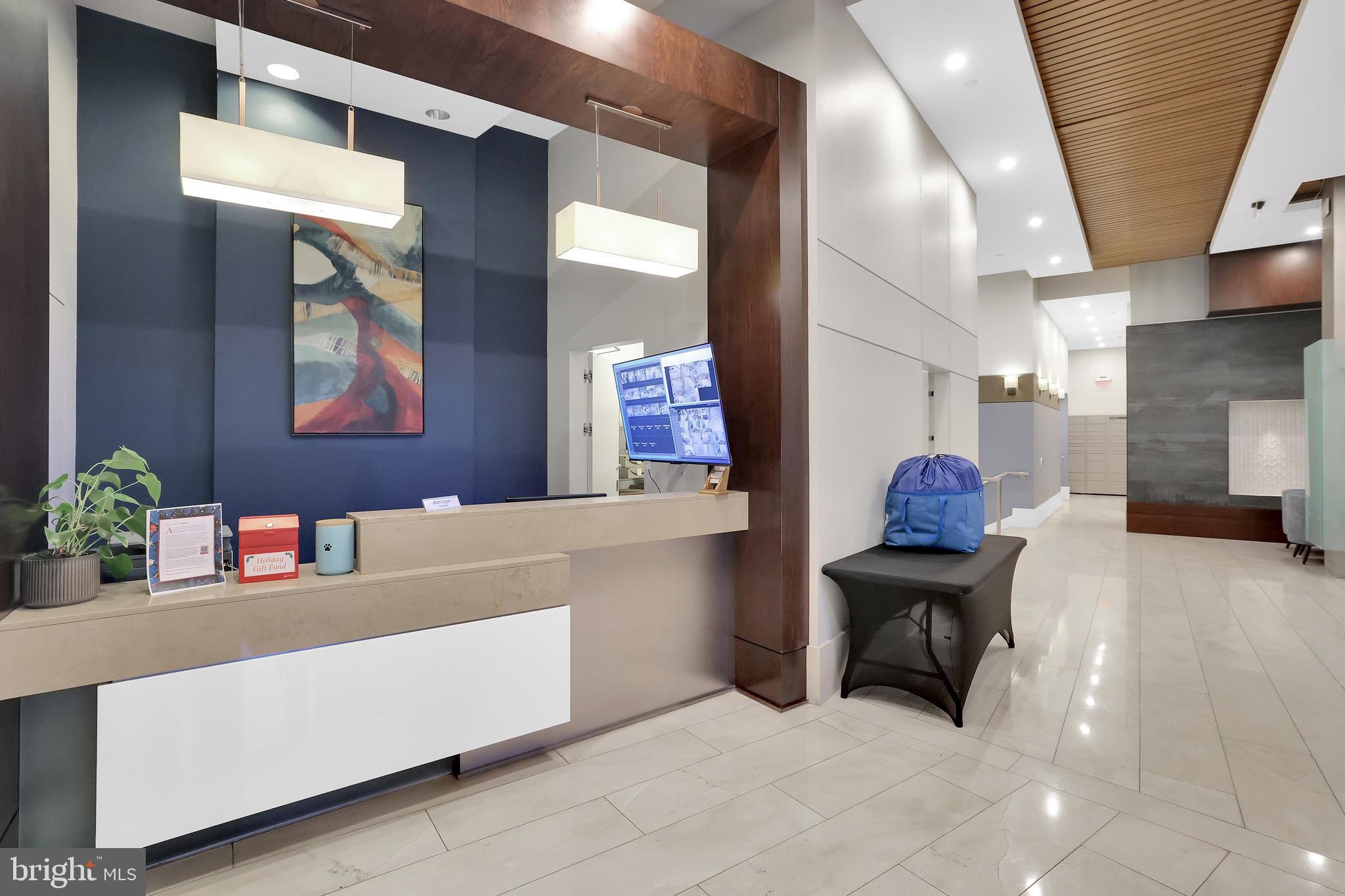 1025 First Street Southeast, Unit 602 Washington, DC 20003 - Photo 49 of 49 a living room with furniture and a potted plant