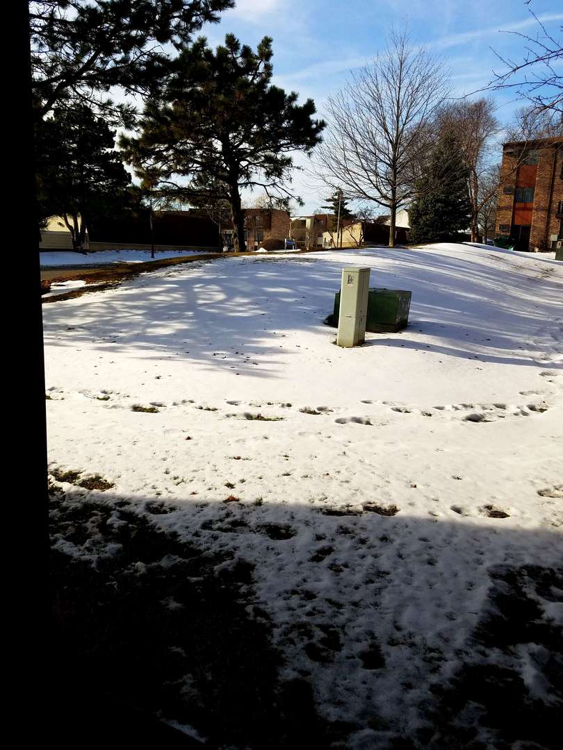 208 Dunteman Drive, Unit 101 Glendale Heights, IL 60139 - Photo 8 of 8