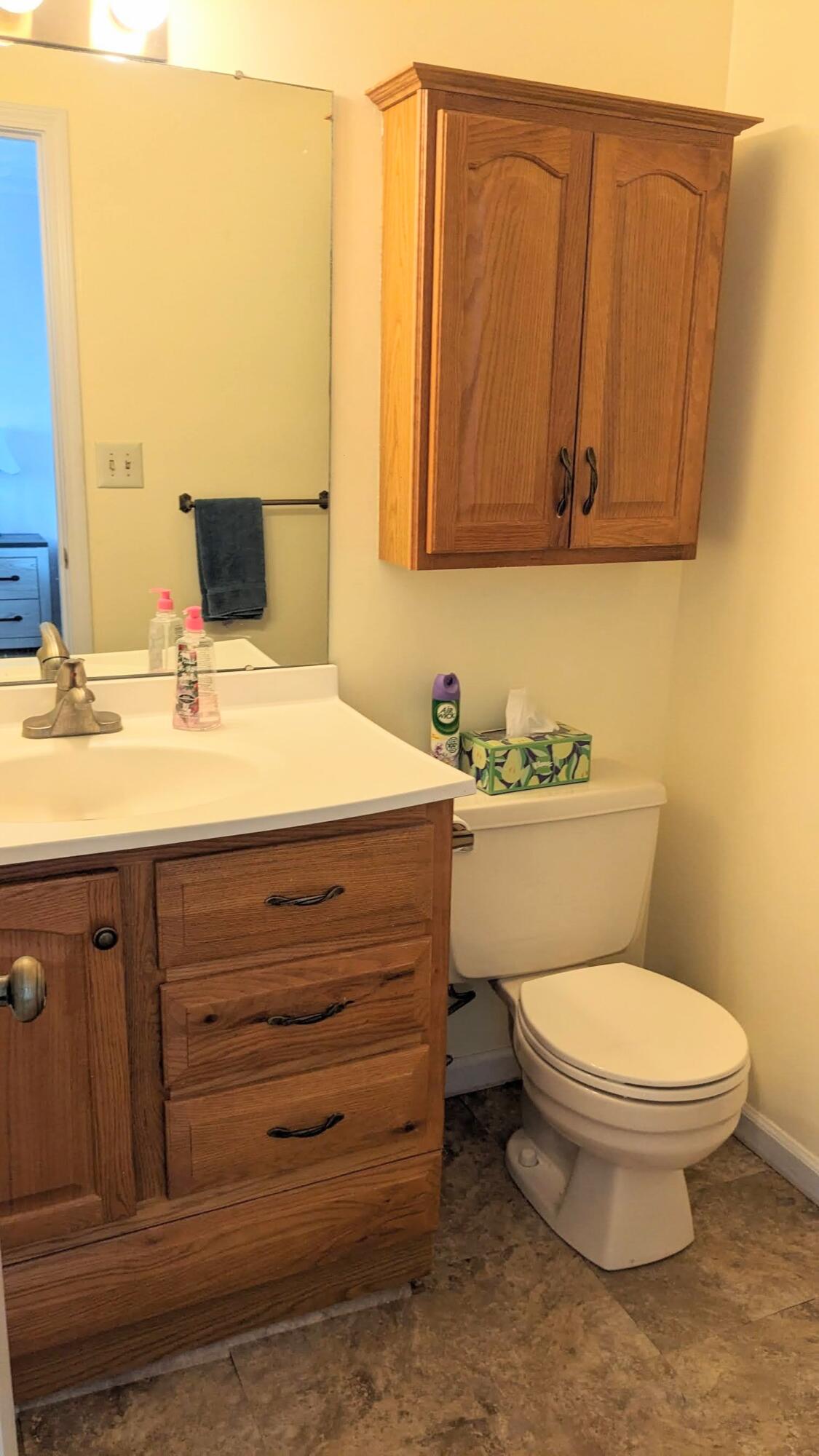 3420 Morning Dove Road Roanoke, VA 24018 - Photo 22 of 33 a bathroom with a toilet sink and mirror