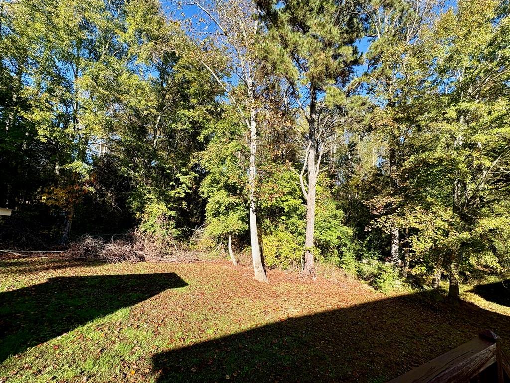 208 Maple Street Dawsonville, GA 30534 - Photo 16 of 21 a view of a yard