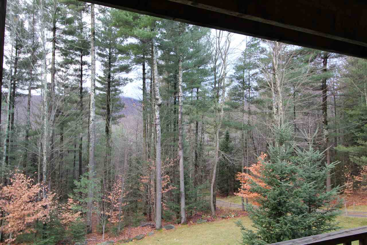 2210 Warren Mountain Road Roxbury, VT 05669 - Photo 2 of 13
