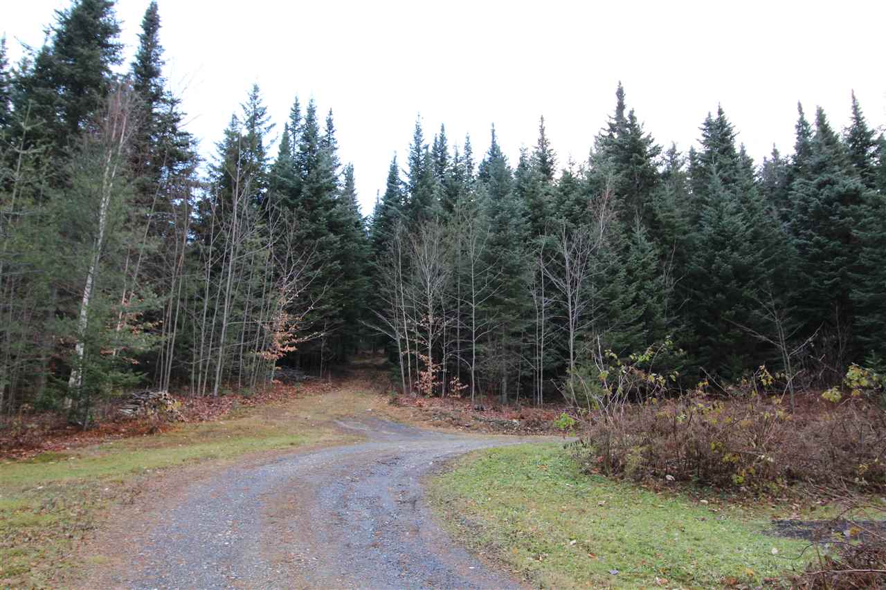 2210 Warren Mountain Road Roxbury, VT 05669 - Photo 13 of 13