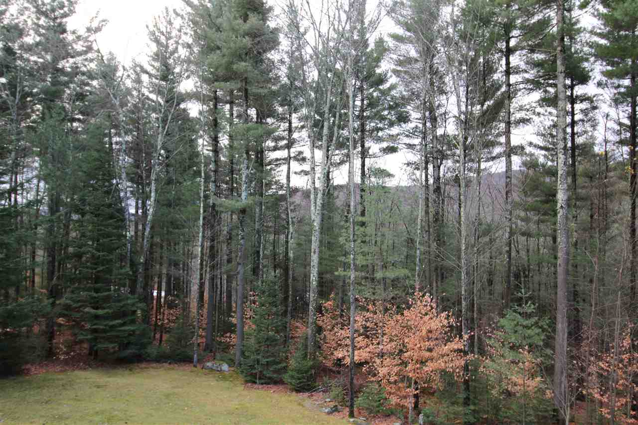 2210 Warren Mountain Road Roxbury, VT 05669 - Photo 6 of 13