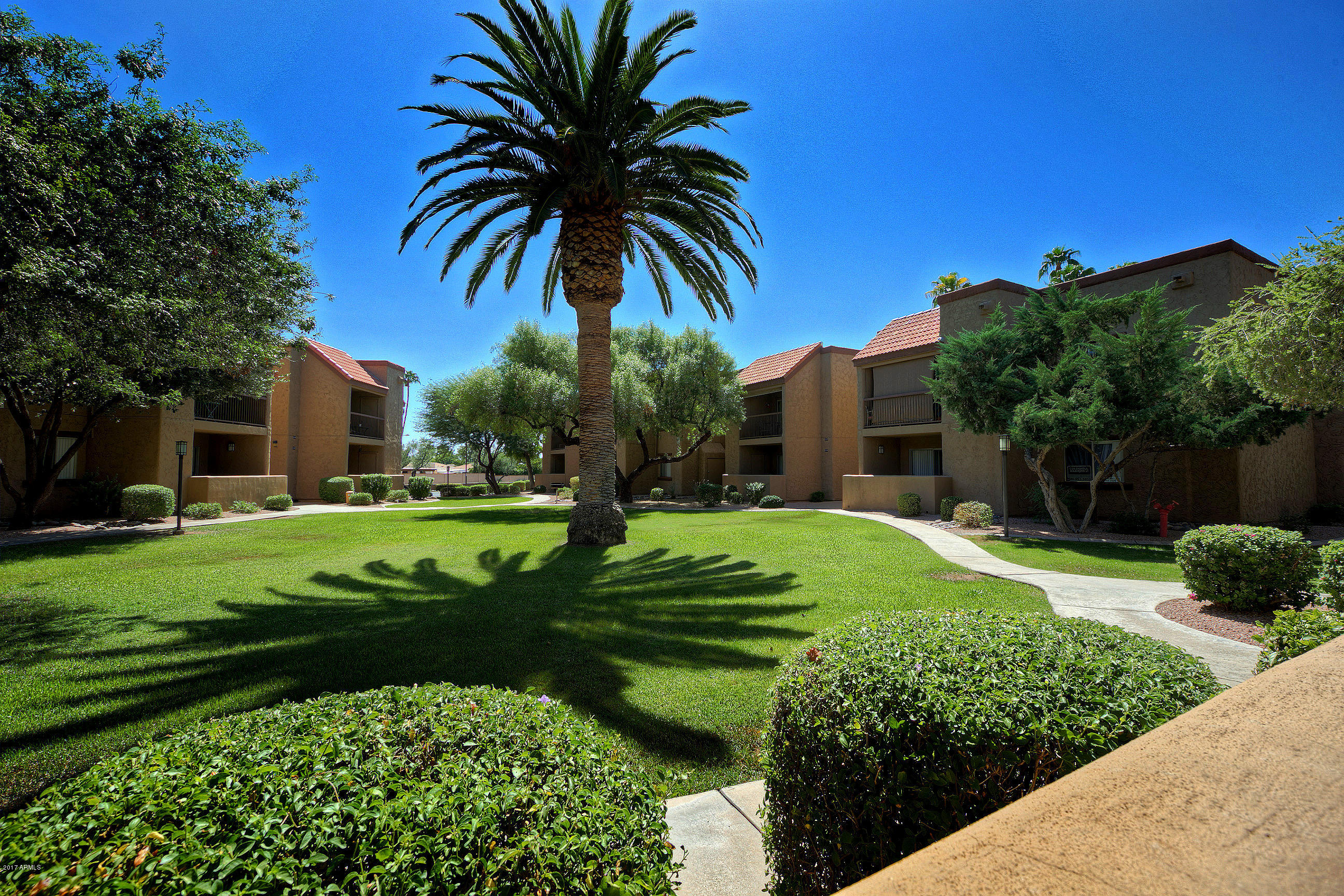 8256 East Arabian Trail, Unit 134 Scottsdale, AZ 85258 - Photo 22 of 24 a front view of a house with a yard and potted plants