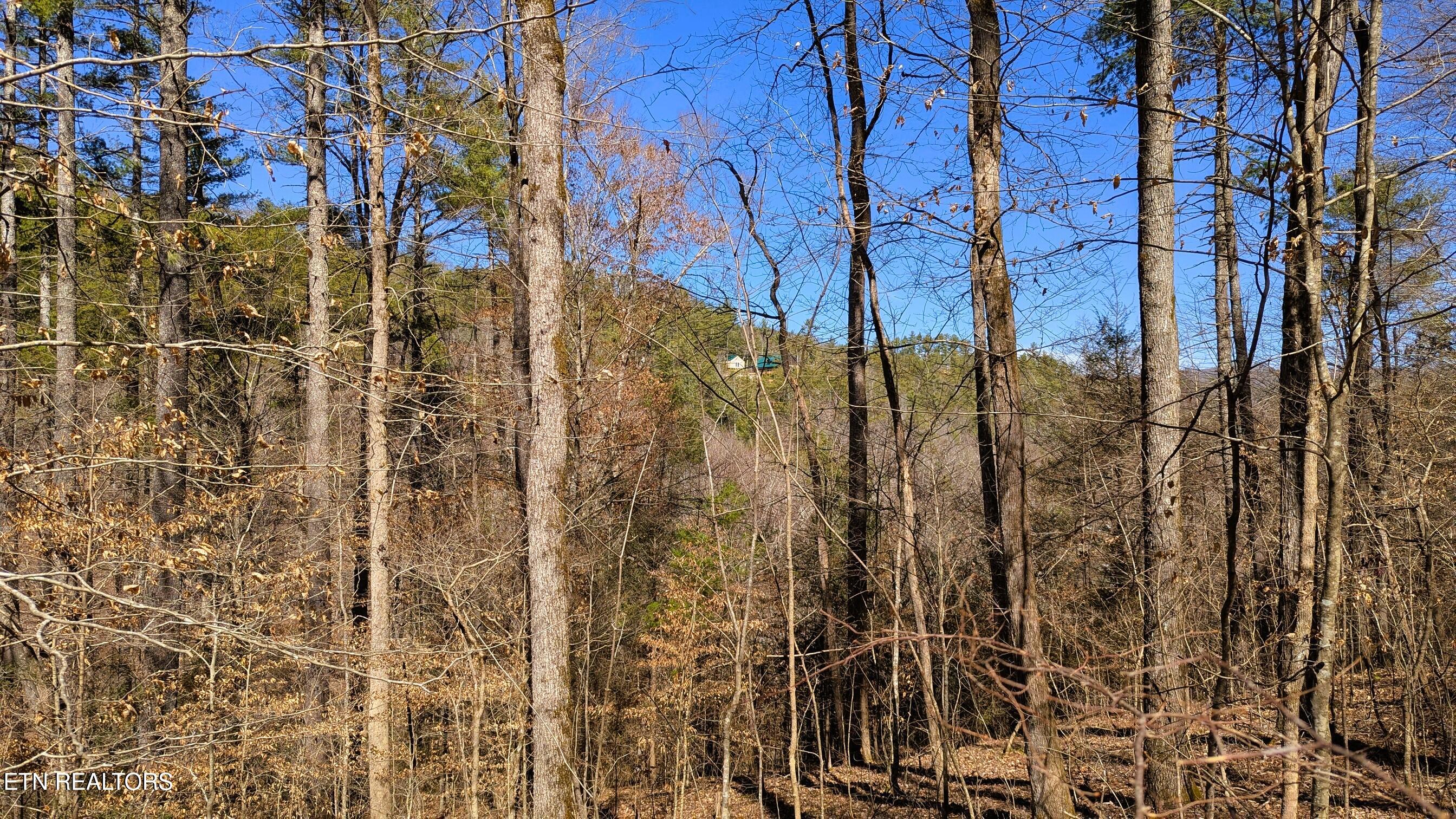 14 Acres Road Townsend, TN 37882 - Photo 10 of 13 Views from Building Area
