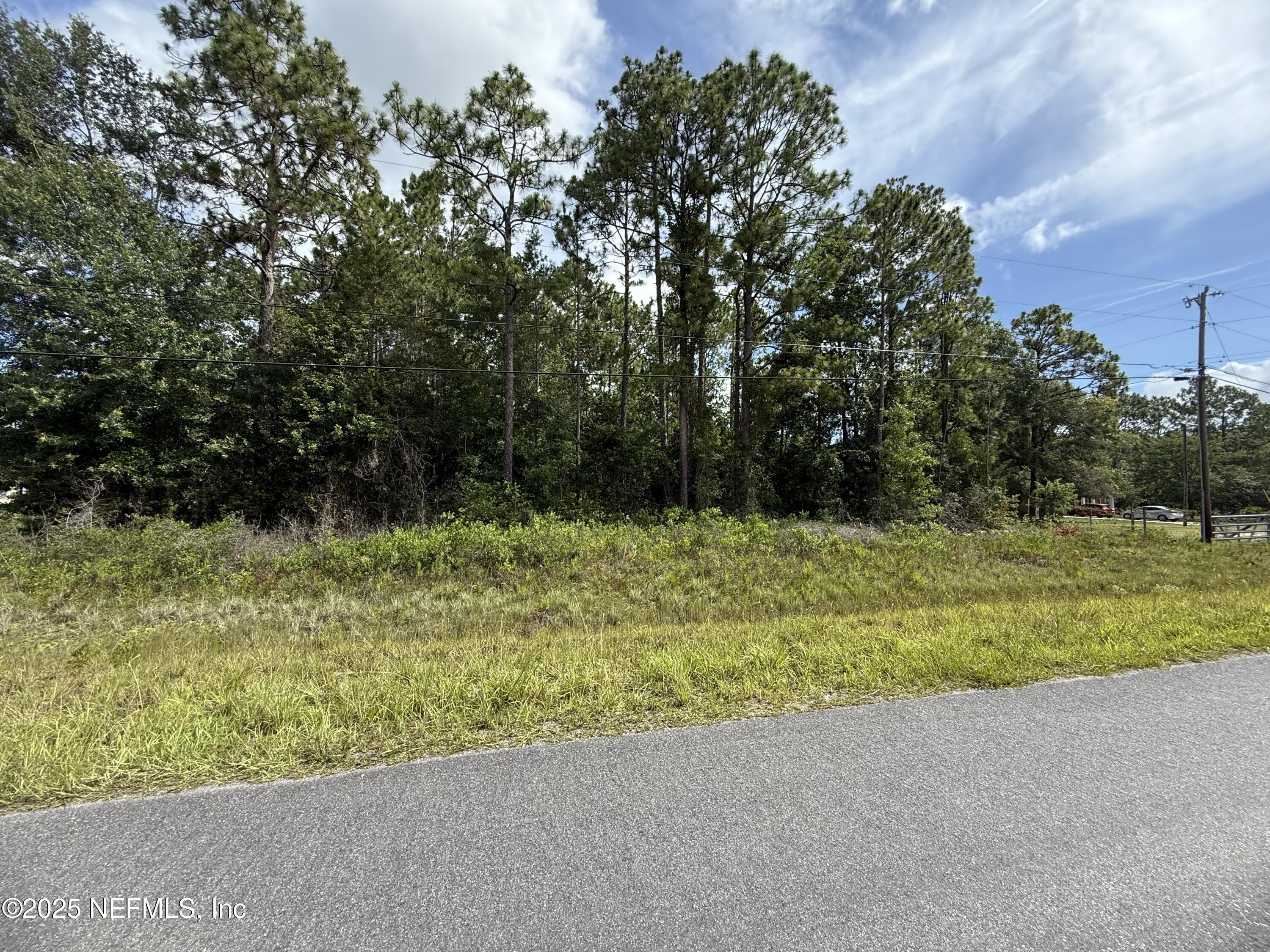 3524 Havenwood Road Middleburg, FL 32068 - Photo 1 of 10 front