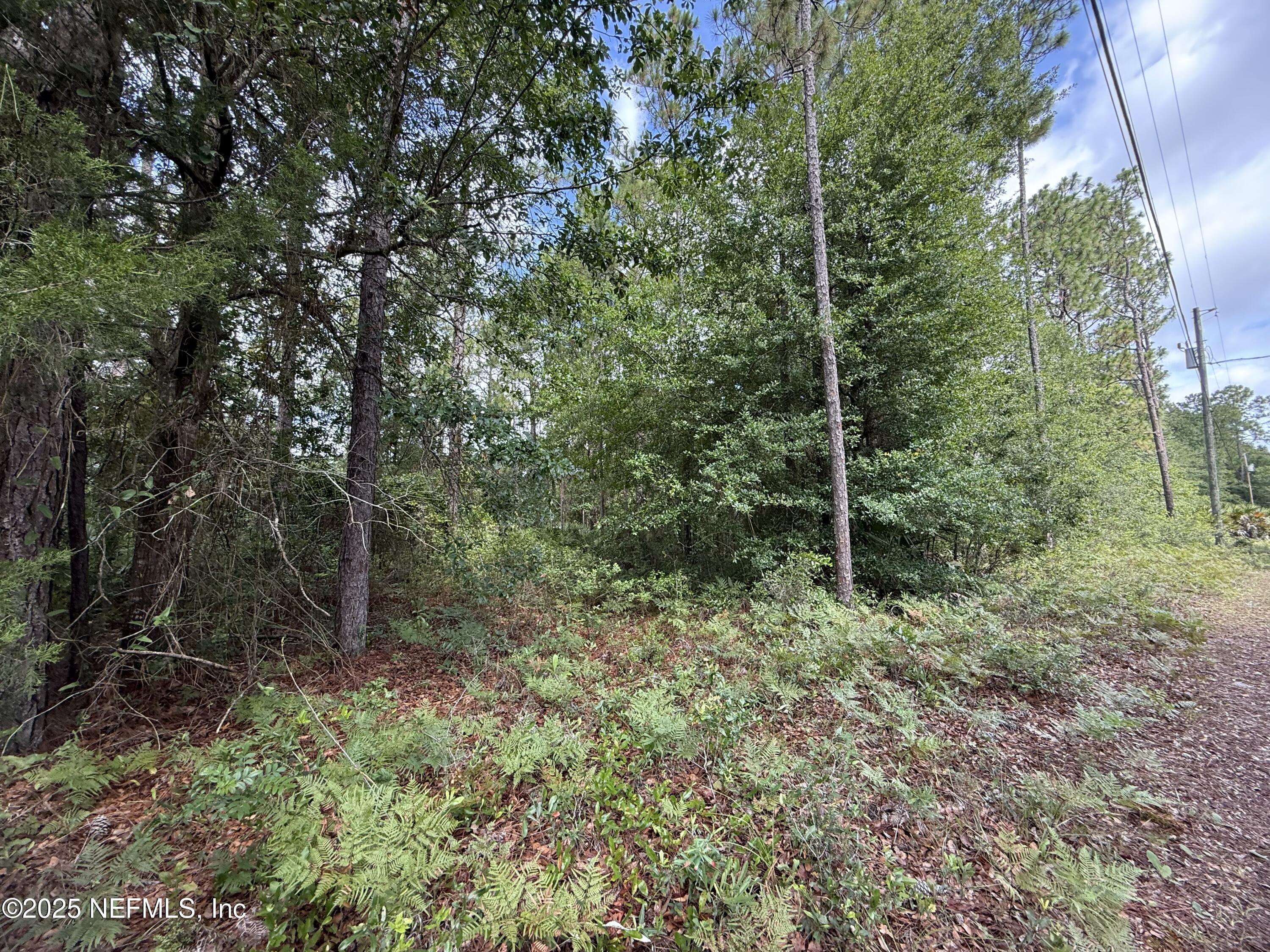 3524 Havenwood Road Middleburg, FL 32068 - Photo 3 of 10 lot