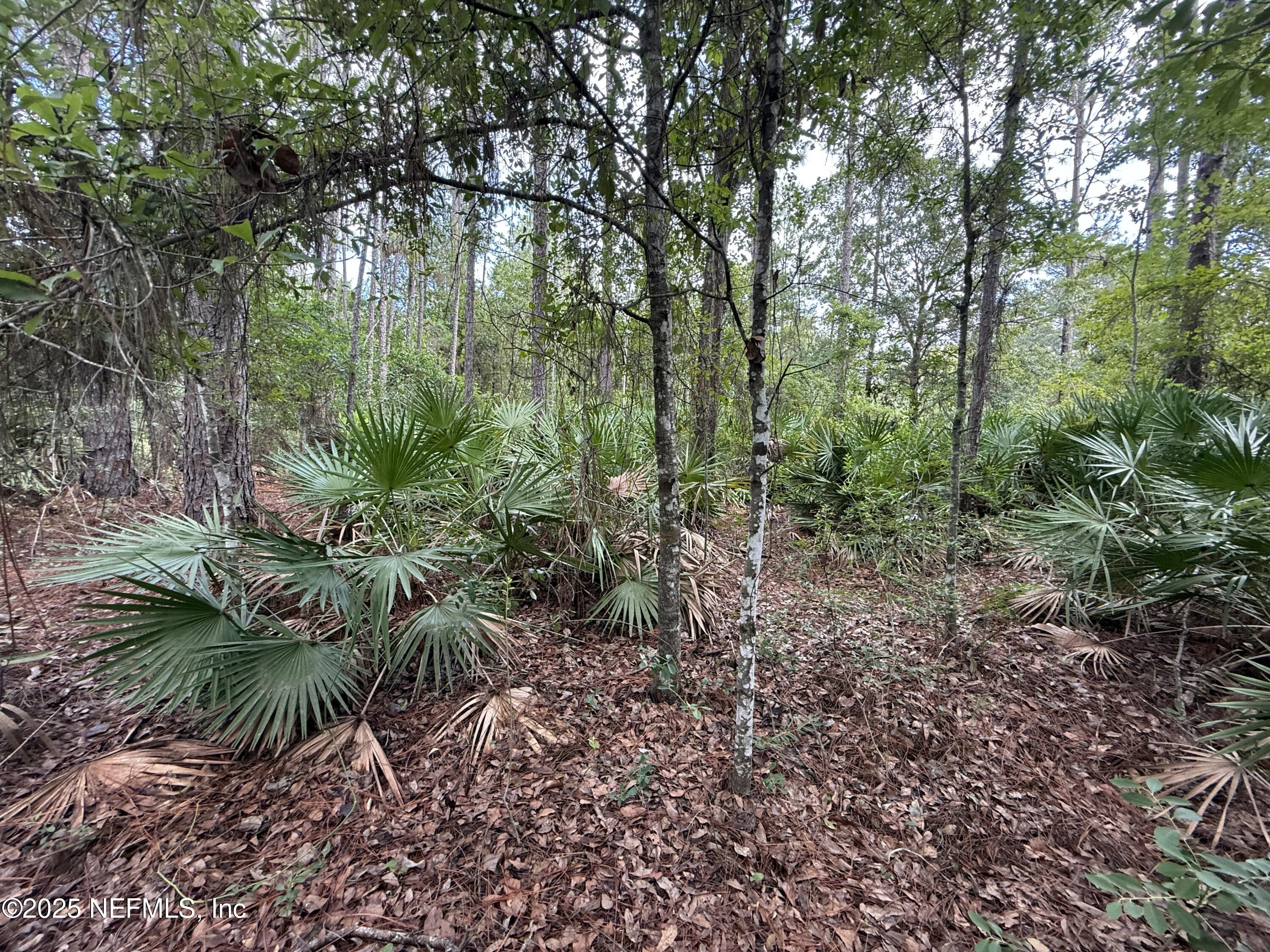 3524 Havenwood Road Middleburg, FL 32068 - Photo 6 of 10 lot