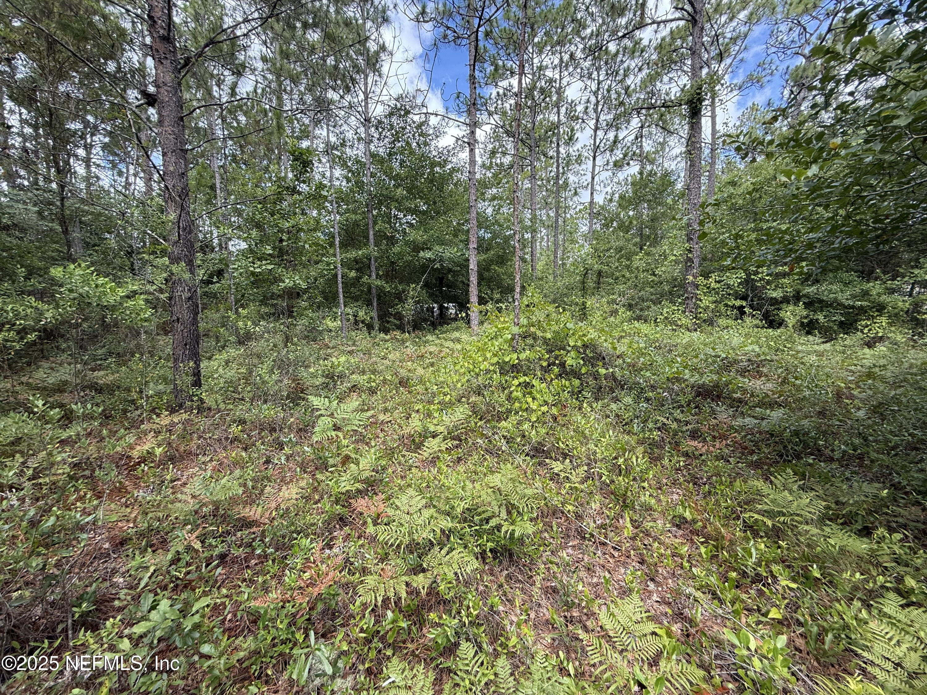 3524 Havenwood Road Middleburg, FL 32068 - Photo 7 of 10 lot