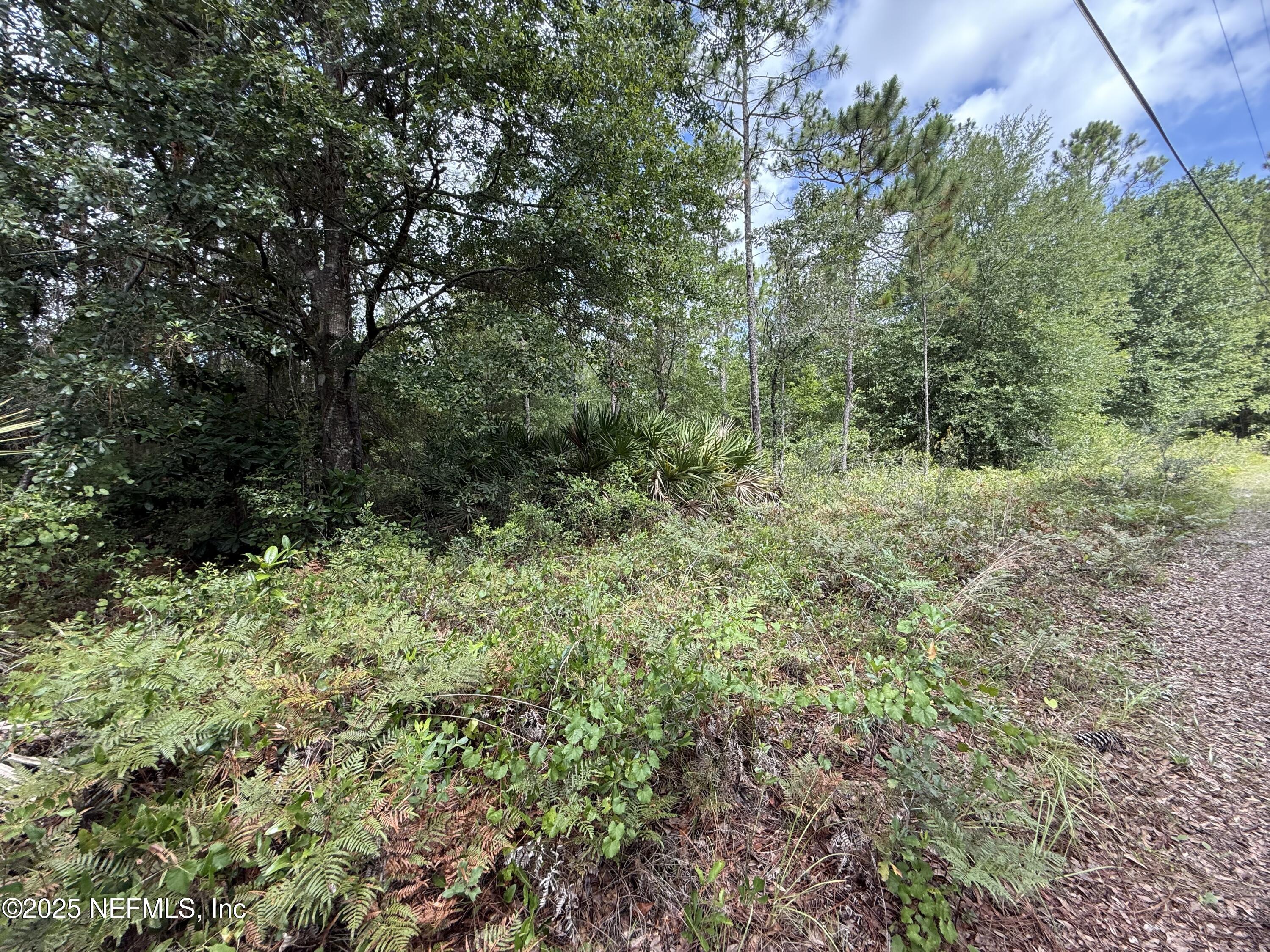 3524 Havenwood Road Middleburg, FL 32068 - Photo 8 of 10 lot