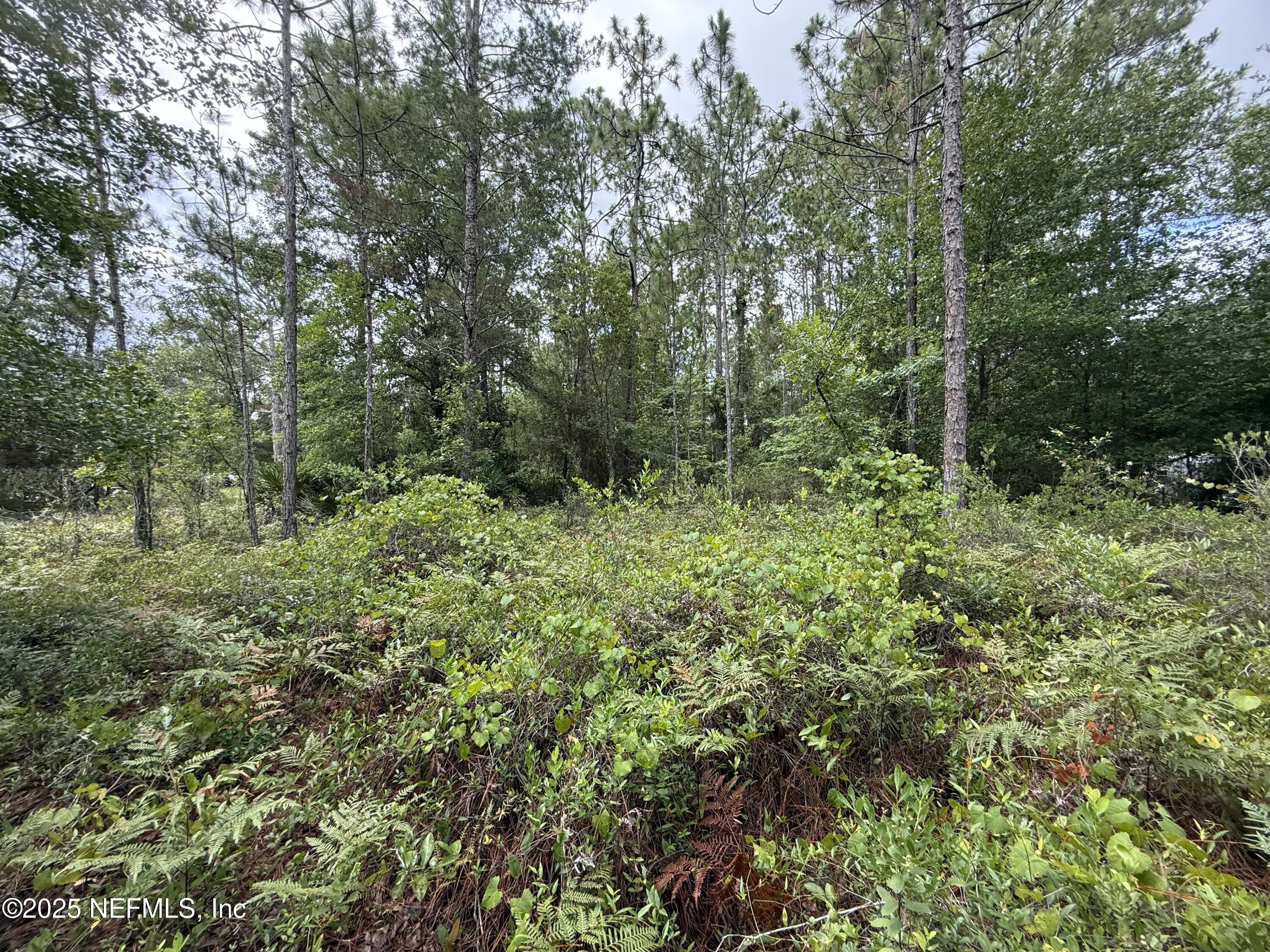 3524 Havenwood Road Middleburg, FL 32068 - Photo 9 of 10 lot