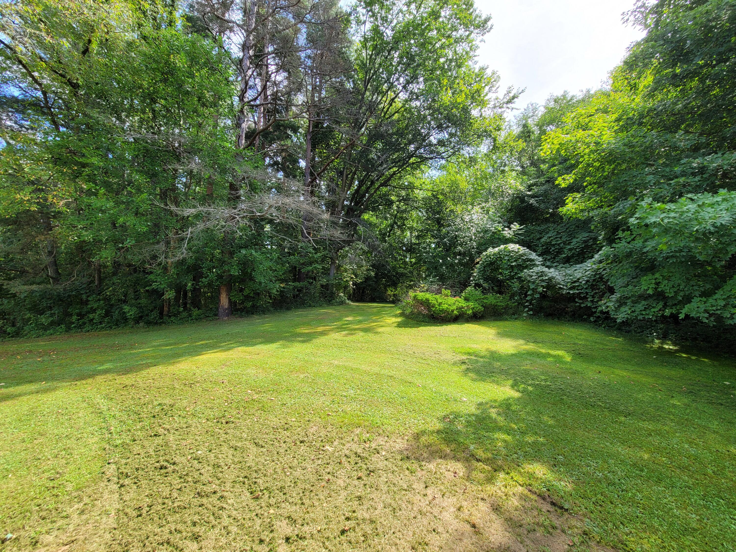 8575 Dixon Road Rives Junction, MI 49277 - Photo 32 of 38 20210831_115829