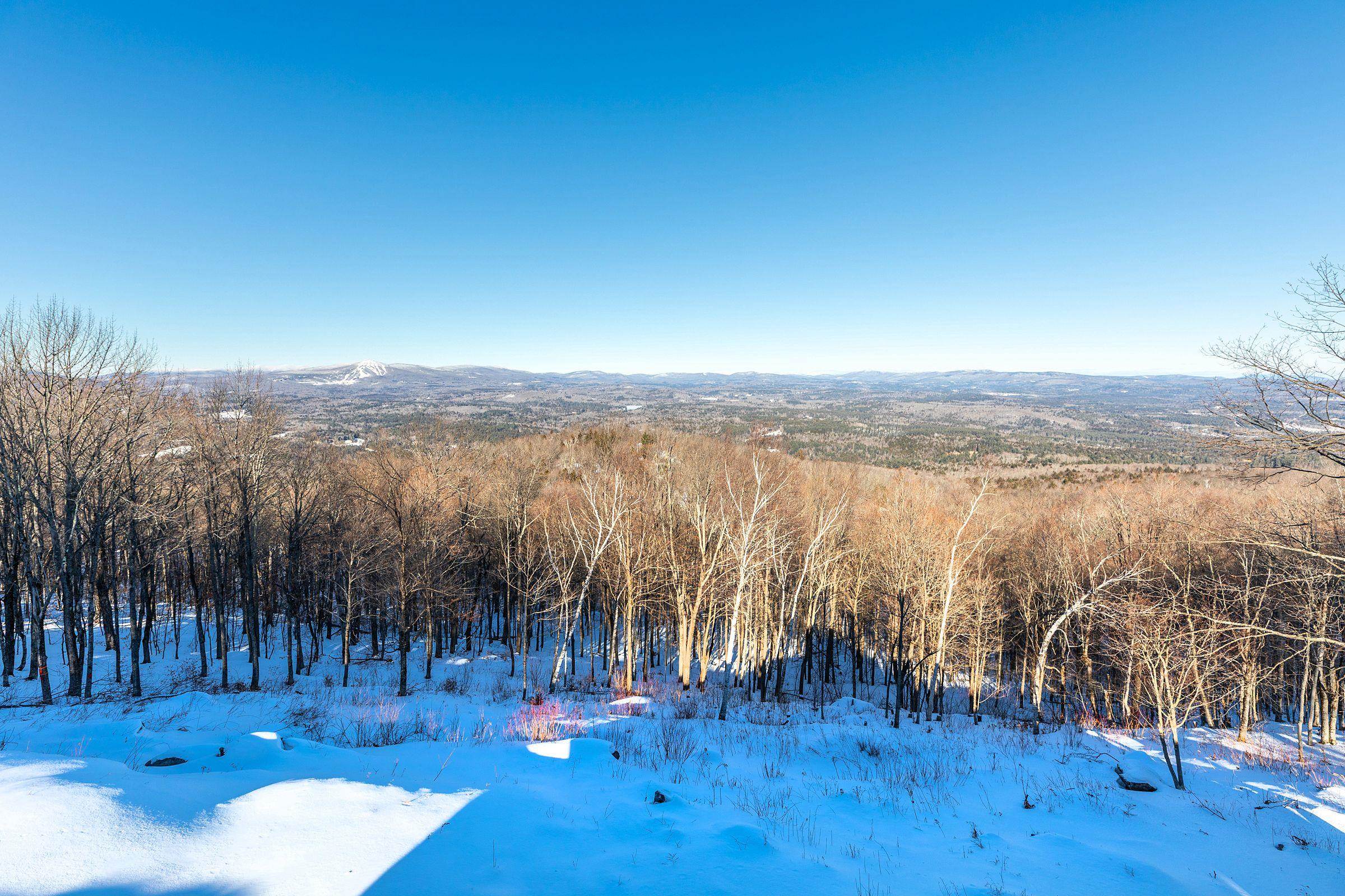 57 Pearl Buck Drive, Unit 33 Winhall, VT 05340 - Photo 45 of 50