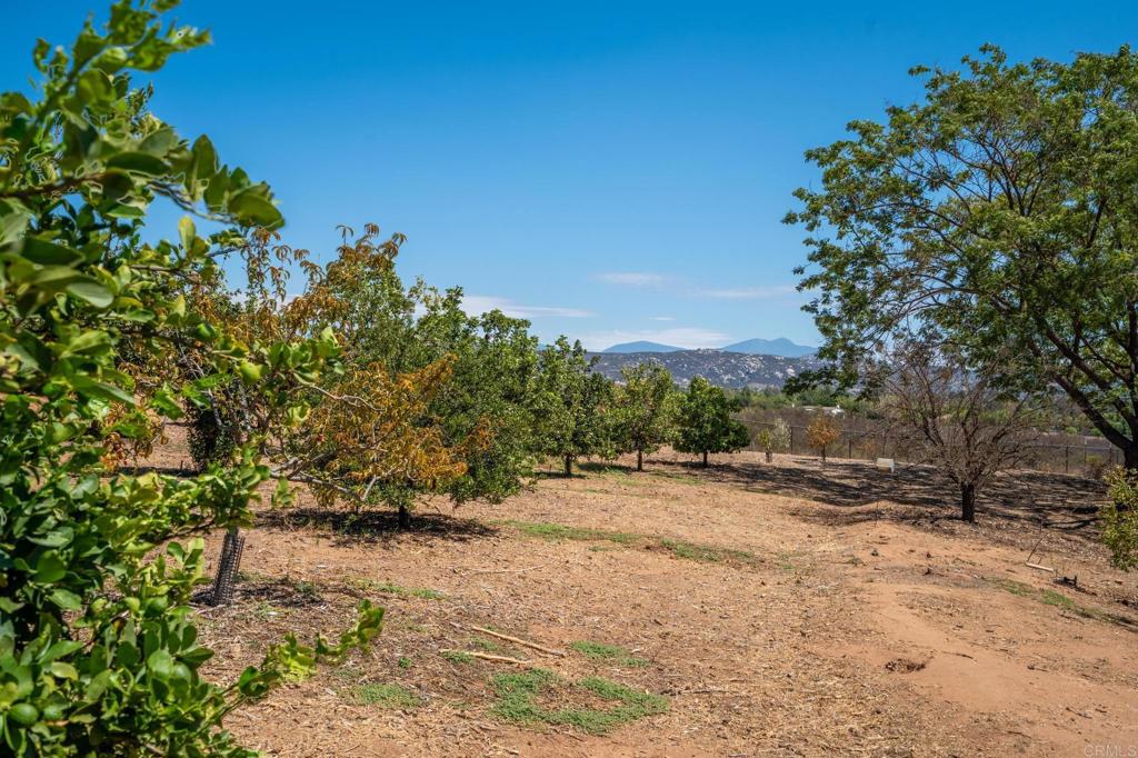 2090 Quail Meadow Road Ramona, CA 92065 - Photo 60 of 72 Gallery Image 60