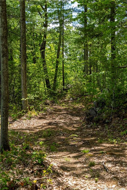 13 Dew Road Barkhamsted, CT 06063 - Photo 14 of 14