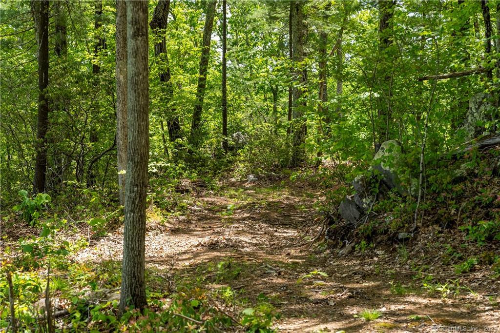 13 Dew Road Barkhamsted, CT 06063 - Photo 3 of 14 A network of trails traverses the land