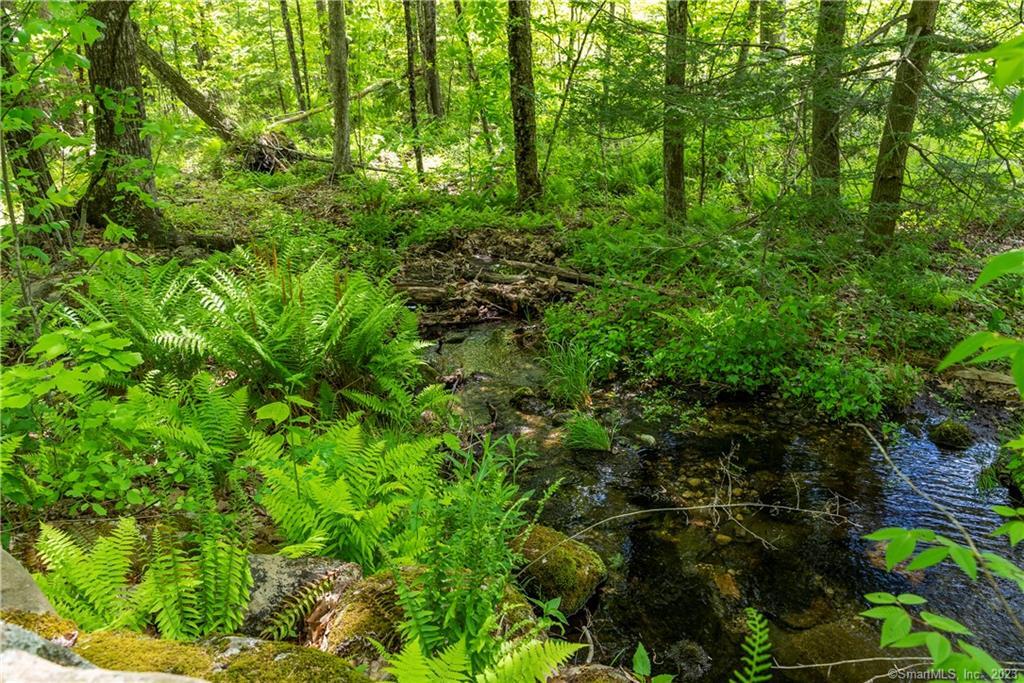 13 Dew Road Barkhamsted, CT 06063 - Photo 6 of 14 One of two streams that meander through the property