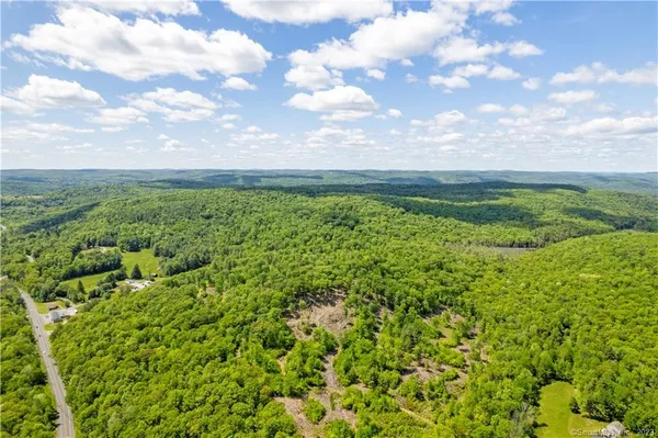 a view of a bunch of trees