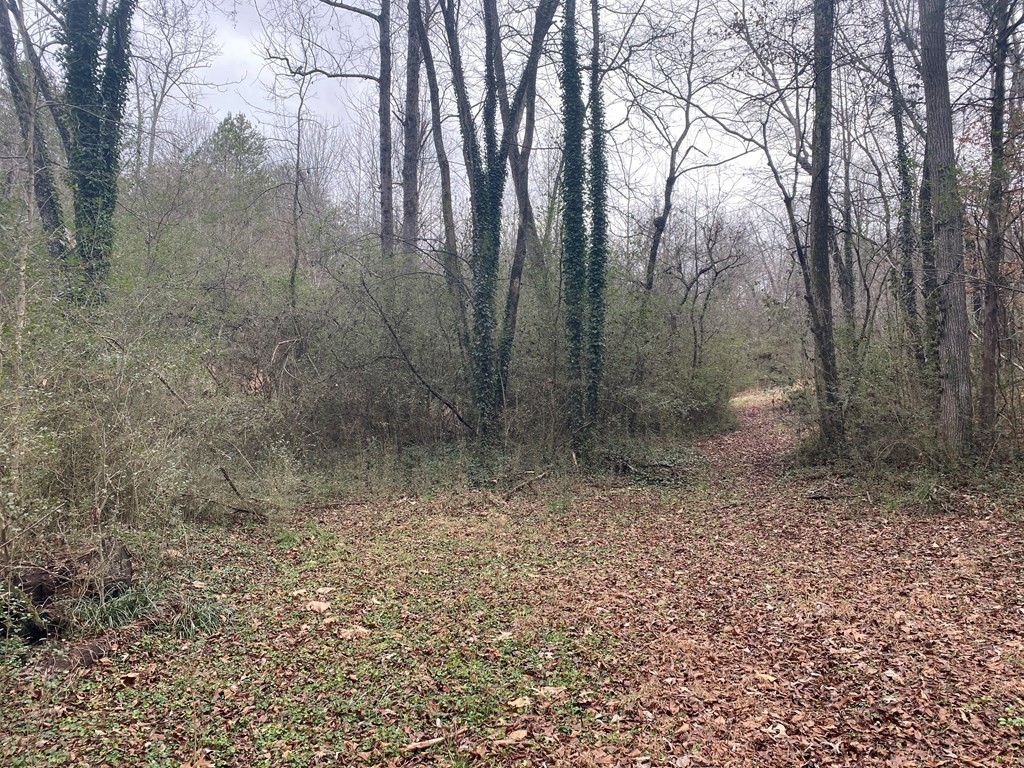 0 Bluff Road Dayton, TN 37321 - Photo 3 of 9 Gallery Image 3