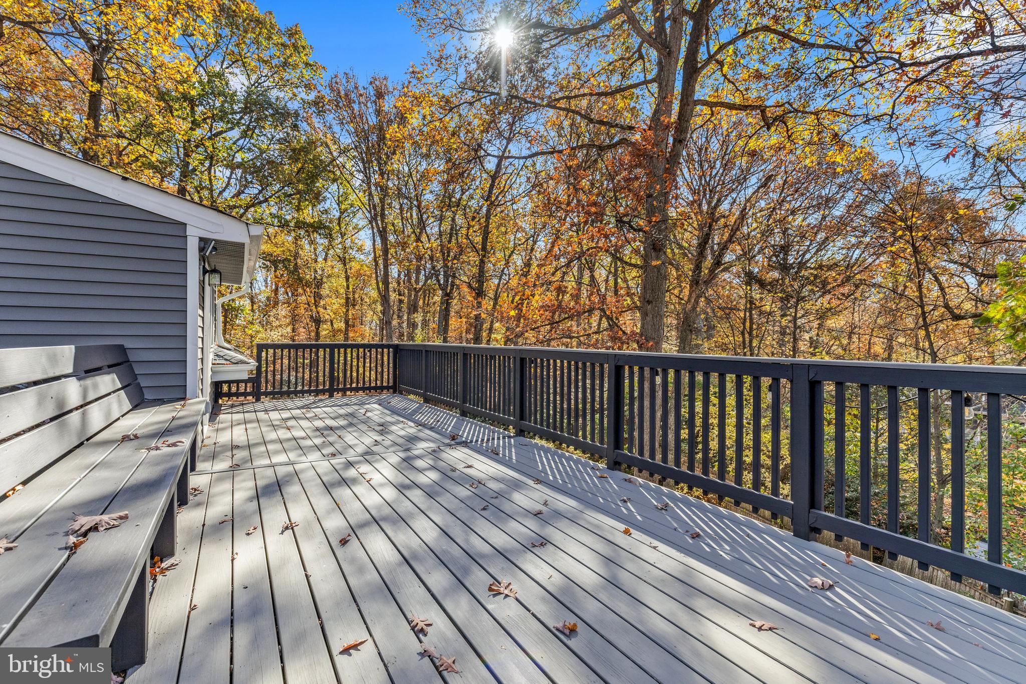 11508 Colt Terrace Silver Spring, MD 20902 - Photo 4 of 50 Gallery Image 4